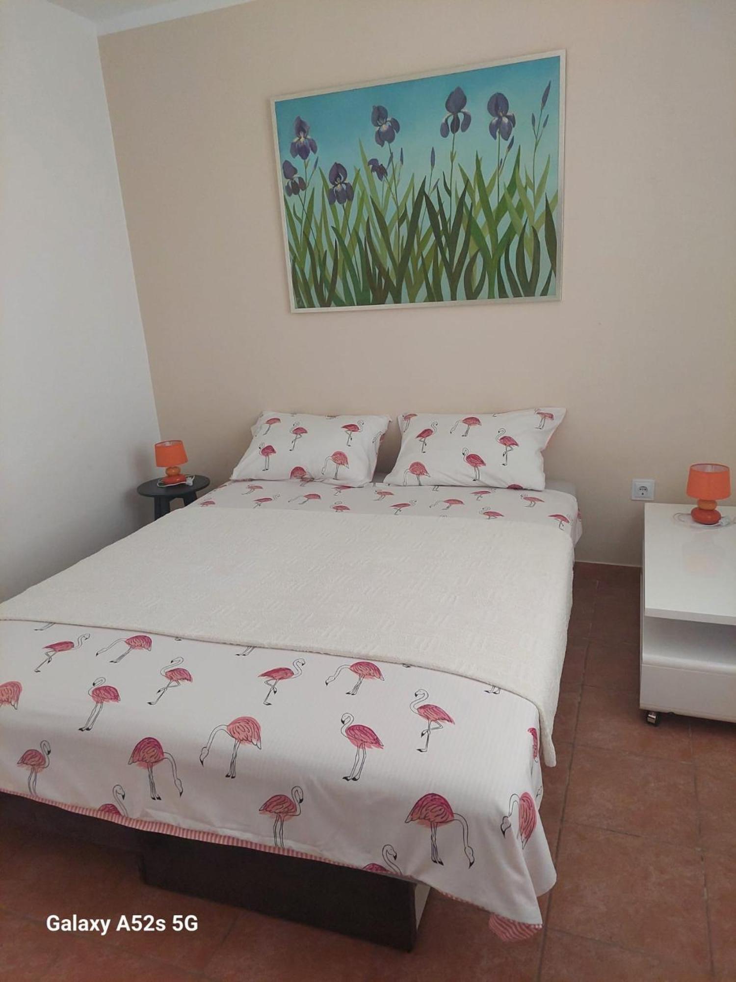 Apartments Pimpinella Premantura Εξωτερικό φωτογραφία