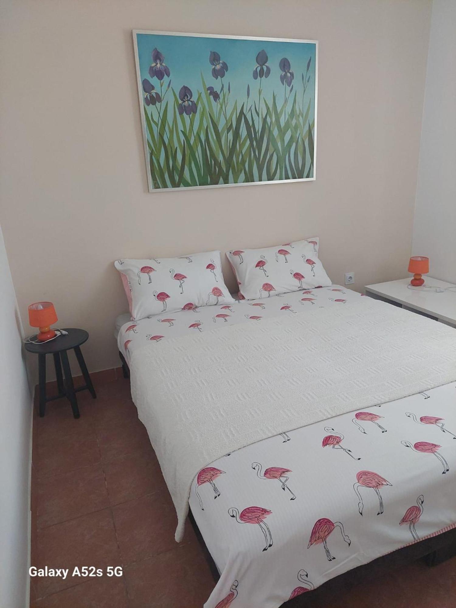 Apartments Pimpinella Premantura Εξωτερικό φωτογραφία