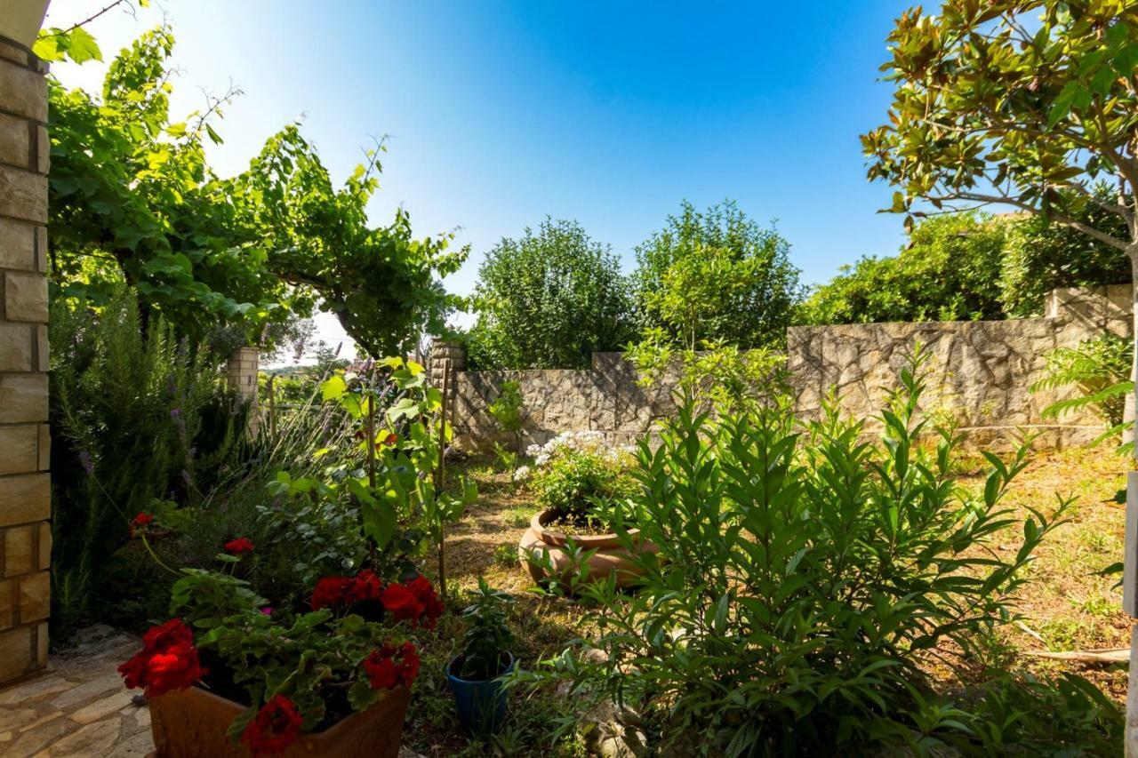 Apartments Pimpinella Premantura Εξωτερικό φωτογραφία